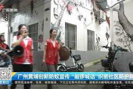 清晨社区盾焦点战；广东宏远临场应变；压力陡增；纪律约束更严格的简单介绍