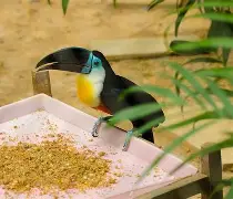 !~g挓i??q#妛覈	i}5嵓鵎T餬荄?的简单介绍