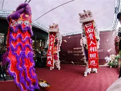 葵花远程控制官网下载